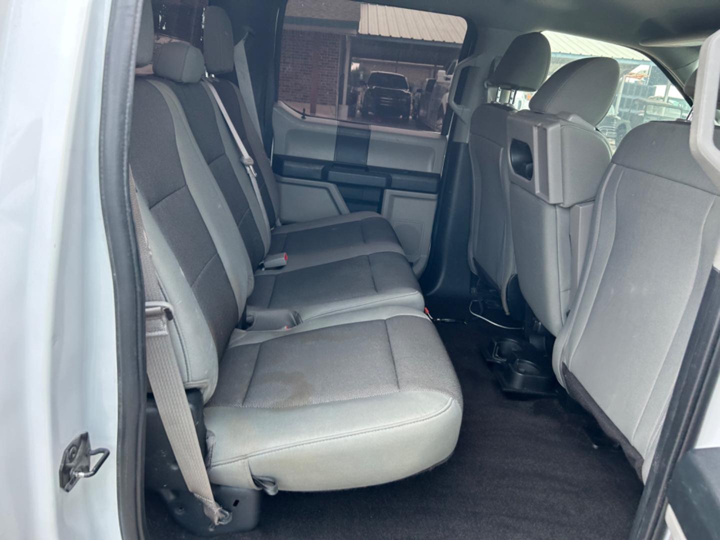 2019 White Ford F-150 (1FTEW1C55KK) with an 5.0L V8 F DOHC 32V engine, Automatic transmission, located at 1687 Business 35 S, New Braunfels, TX, 78130, (830) 625-7159, 29.655487, -98.051491 - Photo#4